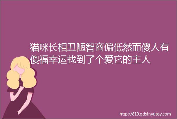 猫咪长相丑陋智商偏低然而傻人有傻福幸运找到了个爱它的主人