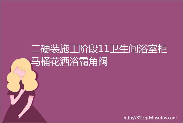 二硬装施工阶段11卫生间浴室柜马桶花洒浴霸角阀