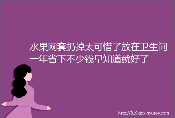 水果网套扔掉太可惜了放在卫生间一年省下不少钱早知道就好了