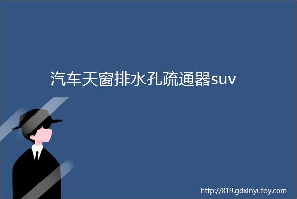 汽车天窗排水孔疏通器suv