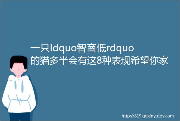 一只ldquo智商低rdquo的猫多半会有这8种表现希望你家猫没中